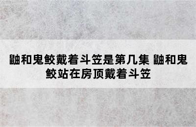 鼬和鬼鲛戴着斗笠是第几集 鼬和鬼鲛站在房顶戴着斗笠